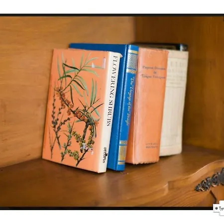 Canto Do 28, Typical * ליסבון