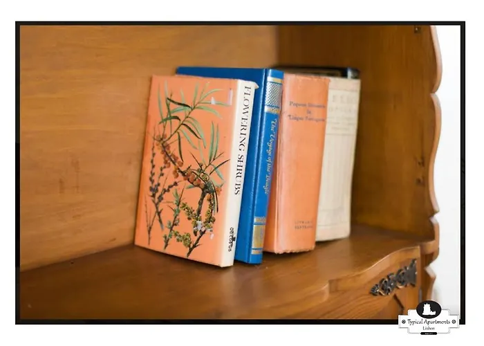 Canto Do 28, Typical * Lisboa